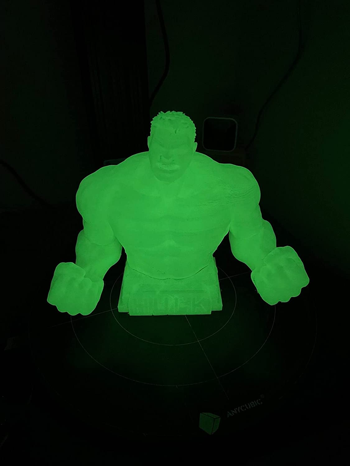 TINMORRY PLA Glow Filament 1.75mm 1Kg
