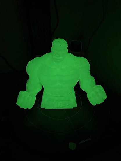 TINMORRY PLA Glow Filament 1.75mm 1Kg